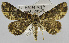  ( - USNM ENT 00796870)  @13 [ ] Unspecified (default): All Rights Reserved  Unspecified Unspecified