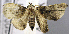  ( - USNM ENT 00799754)  @11 [ ] Unspecified (default): All Rights Reserved  Unspecified Unspecified