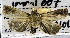  ( - USNM ENT 00796457)  @11 [ ] Unspecified (default): All Rights Reserved  Unspecified Unspecified