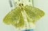  ( - USNM ENT 00196167a)  @12 [ ] Unspecified (default): All Rights Reserved  Unspecified Unspecified