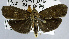  ( - USNM ENT 00799305)  @11 [ ] Unspecified (default): All Rights Reserved  Unspecified Unspecified