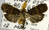  ( - USNM ENT 00931938)  @11 [ ] Unspecified (default): All Rights Reserved  Unspecified Unspecified