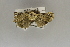  ( - USNM ENT 01016374)  @11 [ ] Unspecified (default): All Rights Reserved  Unspecified Unspecified