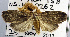  ( - USNM ENT 00799958)  @13 [ ] Unspecified (default): All Rights Reserved  Unspecified Unspecified