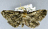  ( - USNM ENT 00796610)  @11 [ ] Unspecified (default): All Rights Reserved  Unspecified Unspecified