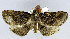  ( - USNM ENT 00796615)  @11 [ ] Unspecified (default): All Rights Reserved  Unspecified Unspecified