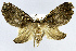  ( - USNM ENT 00930363)  @11 [ ] Unspecified (default): All Rights Reserved  Unspecified Unspecified