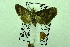  ( - USNM ENT 00500141)  @12 [ ] Unspecified (default): All Rights Reserved  Unspecified Unspecified