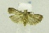  ( - USNM ENT 00501966)  @13 [ ] Unspecified (default): All Rights Reserved  Unspecified Unspecified