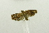  ( - USNM ENT 00510170)  @12 [ ] Unspecified (default): All Rights Reserved  Unspecified Unspecified