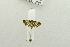  ( - USNM ENT 00510502)  @12 [ ] Unspecified (default): All Rights Reserved  Unspecified Unspecified