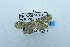  ( - USNM ENT 00510825)  @12 [ ] Unspecified (default): All Rights Reserved  Unspecified Unspecified