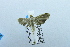  ( - USNM ENT 00510953)  @13 [ ] Unspecified (default): All Rights Reserved  Unspecified Unspecified
