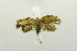  ( - USNM ENT 00511408)  @13 [ ] Unspecified (default): All Rights Reserved  Unspecified Unspecified