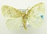  ( - USNM ENT 00511469)  @12 [ ] Unspecified (default): All Rights Reserved  Unspecified Unspecified