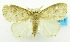  ( - USNM ENT 00511470)  @12 [ ] Unspecified (default): All Rights Reserved  Unspecified Unspecified
