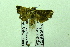 ( - USNM ENT 00511494)  @12 [ ] Unspecified (default): All Rights Reserved  Unspecified Unspecified