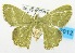  ( - USNM ENT 00514305)  @14 [ ] Unspecified (default): All Rights Reserved  Unspecified Unspecified