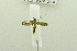  (Caloptilia sp. AAL8371 - USNM ENT 00646465)  @12 [ ] Unspecified (default): All Rights Reserved  Unspecified Unspecified