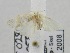  ( - USNM ENT 00646474)  @12 [ ] Unspecified (default): All Rights Reserved  Unspecified Unspecified