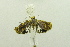  ( - USNM ENT 00659736)  @12 [ ] Unspecified (default): All Rights Reserved  Unspecified Unspecified