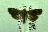  ( - USNM ENT 00659782)  @13 [ ] Unspecified (default): All Rights Reserved  Unspecified Unspecified