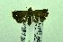  ( - USNM ENT 00660657)  @12 [ ] Unspecified (default): All Rights Reserved  Unspecified Unspecified