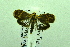  ( - USNM ENT 00660724)  @12 [ ] Unspecified (default): All Rights Reserved  Unspecified Unspecified
