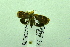  ( - USNM ENT 00660782)  @12 [ ] Unspecified (default): All Rights Reserved  Unspecified Unspecified