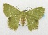  ( - USNM ENT 00660783)  @14 [ ] Unspecified (default): All Rights Reserved  Unspecified Unspecified