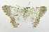  ( - USNM ENT 00667626)  @13 [ ] Unspecified (default): All Rights Reserved  Unspecified Unspecified