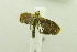  ( - USNM ENT 00667879)  @12 [ ] Unspecified (default): All Rights Reserved  Unspecified Unspecified