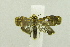  ( - USNM ENT 00667883)  @13 [ ] Unspecified (default): All Rights Reserved  Unspecified Unspecified