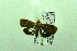  ( - USNM ENT 00667966)  @12 [ ] Unspecified (default): All Rights Reserved  Unspecified Unspecified