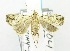  ( - USNM ENT 00668437)  @12 [ ] Unspecified (default): All Rights Reserved  Unspecified Unspecified