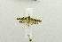  ( - USNM ENT 00682319)  @12 [ ] Unspecified (default): All Rights Reserved  Unspecified Unspecified