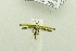  (Caloptilia sp. BOLD:AAV4639 - USNM ENT 00682350)  @13 [ ] Unspecified (default): All Rights Reserved  Unspecified Unspecified