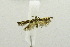  ( - USNM ENT 00682359)  @12 [ ] Unspecified (default): All Rights Reserved  Unspecified Unspecified