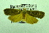  ( - USNM ENT 00682684)  @13 [ ] Unspecified (default): All Rights Reserved  Unspecified Unspecified