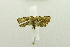  ( - USNM ENT 00697138)  @12 [ ] Unspecified (default): All Rights Reserved  Unspecified Unspecified