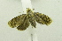  ( - USNM ENT 00697321)  @12 [ ] Unspecified (default): All Rights Reserved  Unspecified Unspecified