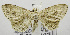  ( - USNM ENT 00700912)  @13 [ ] Unspecified (default): All Rights Reserved  Unspecified Unspecified