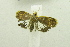  ( - USNM ENT 00701181)  @13 [ ] Unspecified (default): All Rights Reserved  Unspecified Unspecified