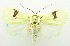  ( - USNM ENT 00706859)  @14 [ ] Unspecified (default): All Rights Reserved  Unspecified Unspecified