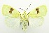  ( - USNM ENT 00706860)  @14 [ ] Unspecified (default): All Rights Reserved  Unspecified Unspecified