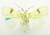  ( - USNM ENT 00706861)  @14 [ ] Unspecified (default): All Rights Reserved  Unspecified Unspecified