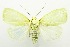  ( - USNM ENT 00706862)  @11 [ ] Unspecified (default): All Rights Reserved  Unspecified Unspecified