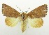  ( - USNM ENT 00706886)  @14 [ ] Unspecified (default): All Rights Reserved  Unspecified Unspecified