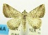  ( - USNM ENT 00706958)  @14 [ ] Unspecified (default): All Rights Reserved  Unspecified Unspecified