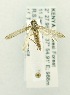  ( - USNM ENT 00718741)  @12 [ ] Unspecified (default): All Rights Reserved  Unspecified Unspecified